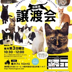 ねこカフェイン小さな譲渡会