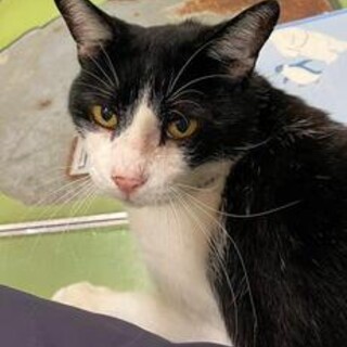 棚からぼたもち！？