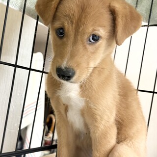 2025年7月生　とっても可愛い男の子