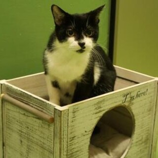 甘えたな女の子です