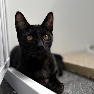 ちょっと怖がりなイオくんです