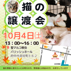 「10月４日の保護猫譲渡会」サムネイル1
