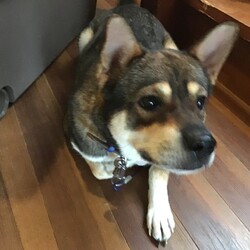 保護活動者失格かも…