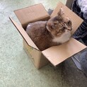 人慣れ猫慣れ上手です