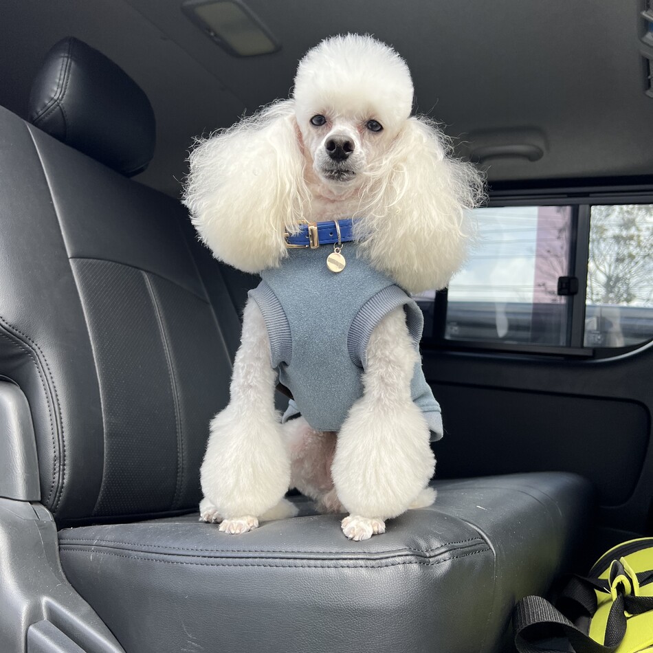 みずきのカバー写真