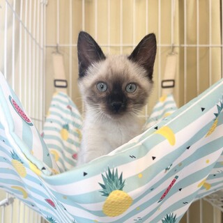 【9/21東銀座】タクくん★２ヵ月半♪