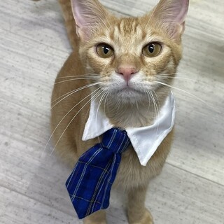 【10/5東銀座】おめくん★１歳♪