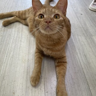 【11/30東銀座】あけくん★１歳♪