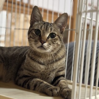 緊急募集‼️厳しい冬の漁港にリリース