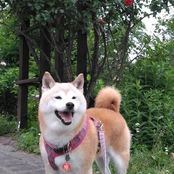 ちょっぴりほろ苦い９月(。>д<)