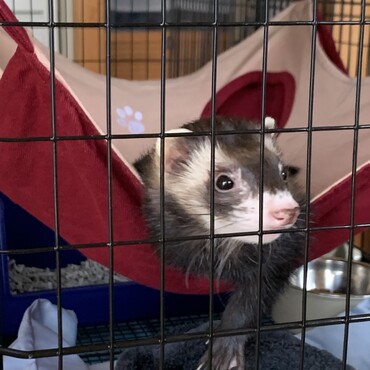 写真撮るのが下手で、更に動き回るのでなかなか良い写真が撮れないです