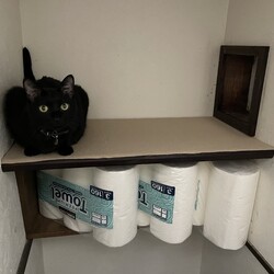 コウちゃん、航太朗のデッキ