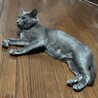 ロシアンブルー（風）の男の子（里親様決定しました） サムネイル5