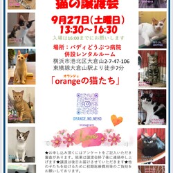 orangeの猫たちの譲渡会in大倉山