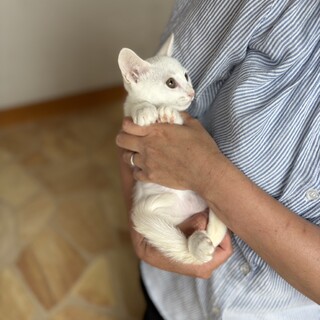 ゴッロゴロのダイオウくん♡