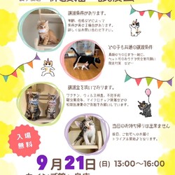 秘密結社ねこのひげ♡保護猫譲渡会
