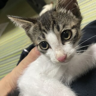 里親決定！秋(あき)くん