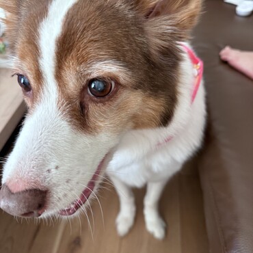 の写真