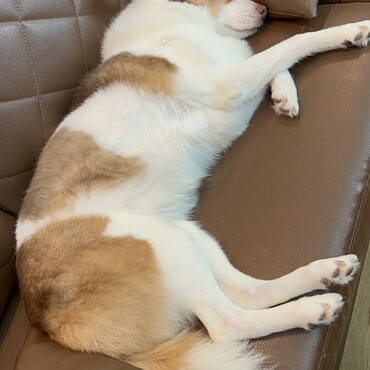 の写真