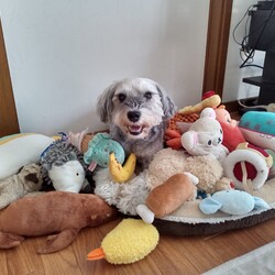 お誕生日おめでとう