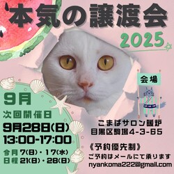 本気の譲渡会