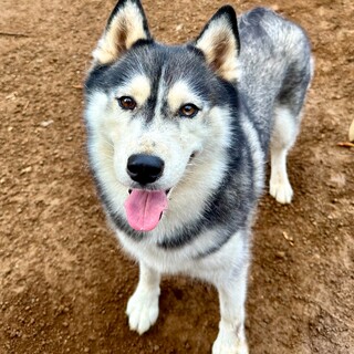 明るくて元気です