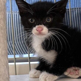 ちょっとビビリなイケメン　タッキー君