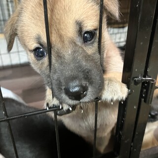 ミルクから育ててきた子です