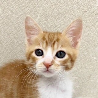 10/5高田馬場★フラワーちゃん★遊びは全力