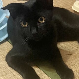 甘えん坊★ポポキ君