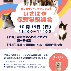 個人ボランティアさんによるいさはや保護猫譲渡会in深堀