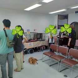 まだら家 サムネイル2