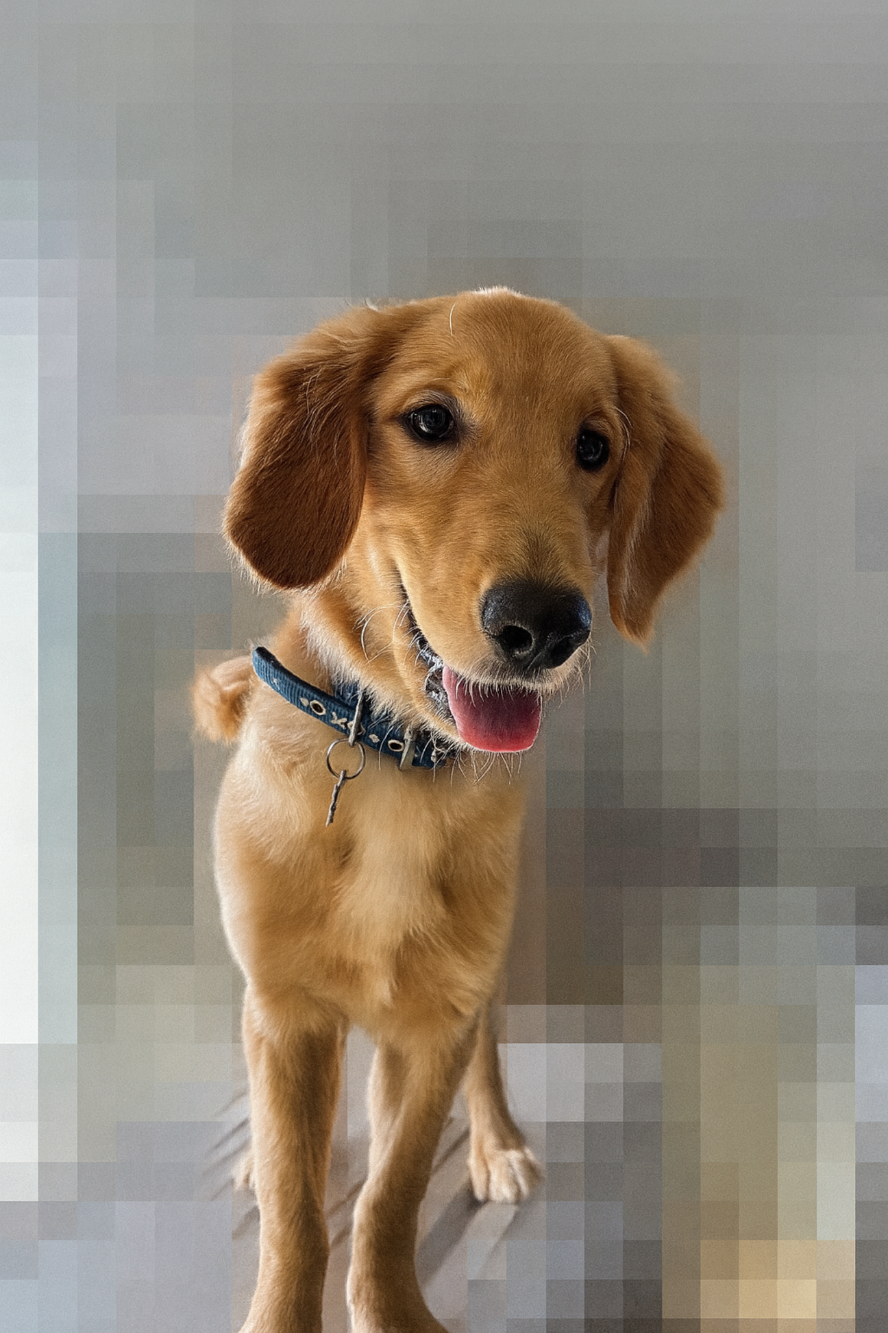 犬と親子/TWO GOOD FRIENDS 額入り リトグラフ 犬と親子/TWO GOOD