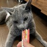 どんぐりー