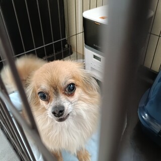 間違えて投稿しました