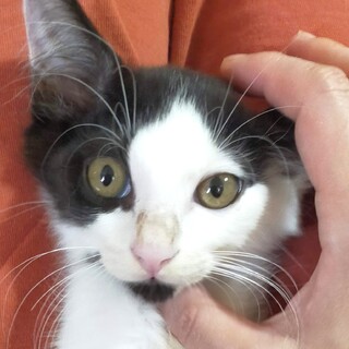 すぐにゴロゴロいっちゃう甘えん坊＾＾