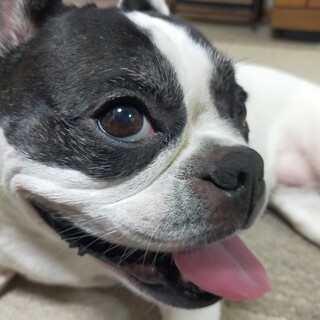 元気なエメちゃん♪