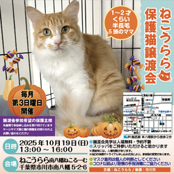 ねこうらら 保護猫譲渡会