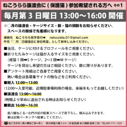 ねこうらら 保護猫譲渡会 サムネイル2