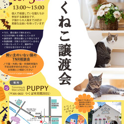 つくねこ譲渡会