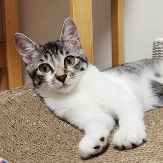 ★初夏ちゃん★慎重派GIRL