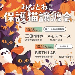 みなとねこ保護猫譲渡会＠三田NNホール＆スペース