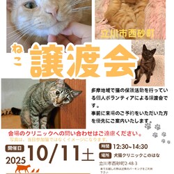 立川市西砂町で猫の譲渡会