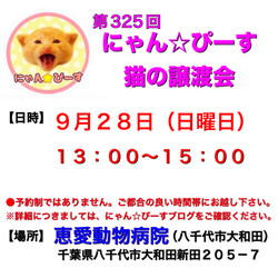 にゃん☆ぴーす猫の譲渡会【八千代/恵愛動物病院】