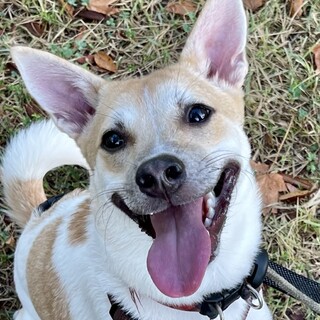 【ポポロン】遊ぶの大好き♡