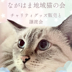 譲渡会@「あまおう10分の5」イベント