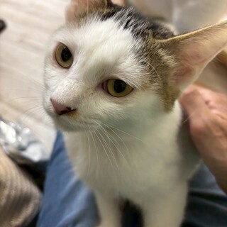 一緒に添い寝したいノアちゃん