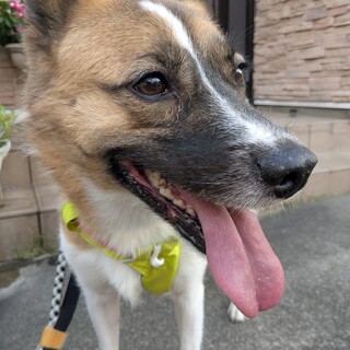 こなつ　女の子