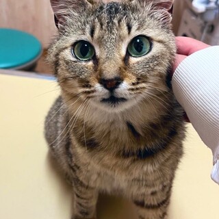 子育てを頑張った若ママちゃん