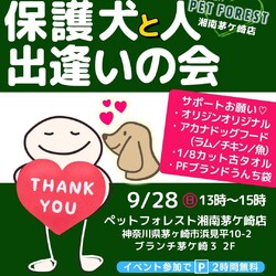 社会性しつけ◎小型犬多数＠茅ヶ崎 サムネイル1